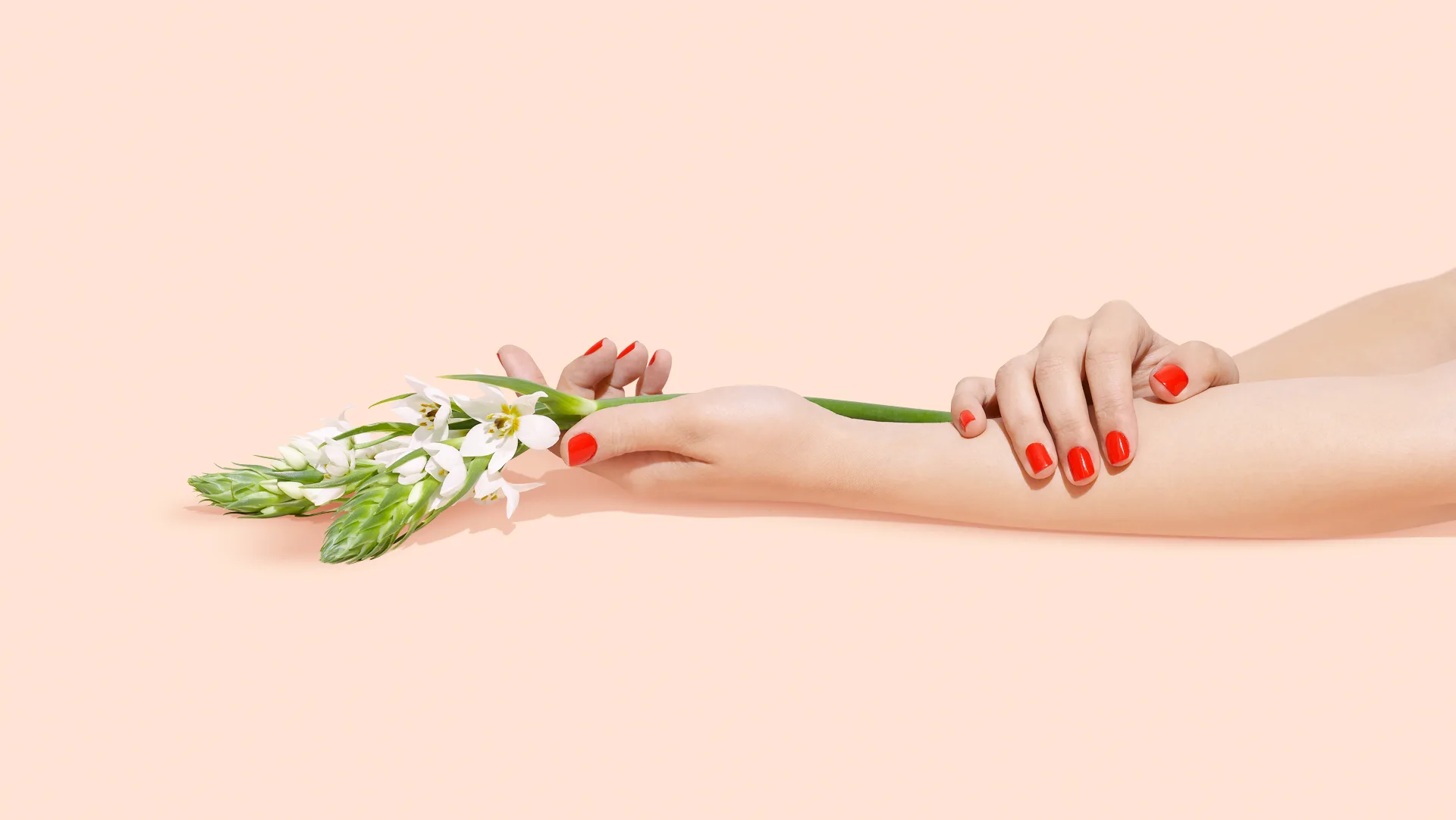 Glossy red nails cradling white bell-flowers on a peach ground &mdash; editorial Flowers and Nails